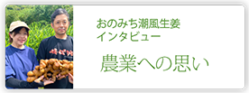 おのみち潮風生姜