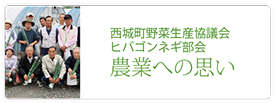 西城町野菜生産協議会ヒバゴンネギ部会