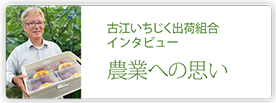 古江いちじく出荷組合