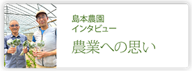 島本農園