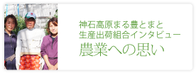 神石高原　まる豊　とまと生産出荷組合