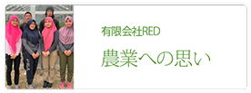 有限会社RED