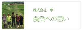 株式会社恵
